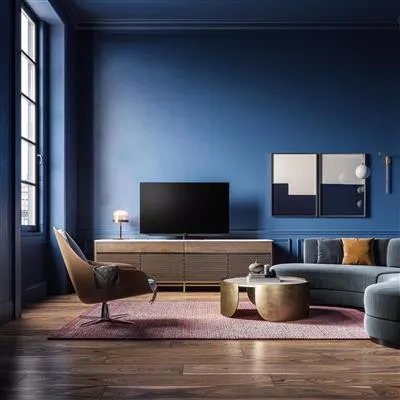 bild-v55dr