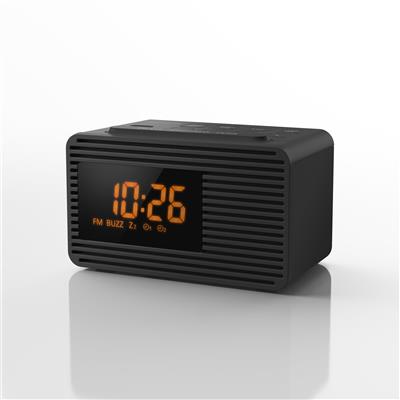 Panasonic RC-800 Clock-radio