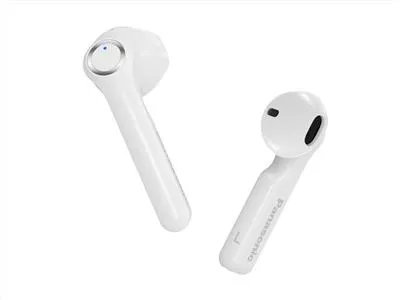 rz-b100wde-w