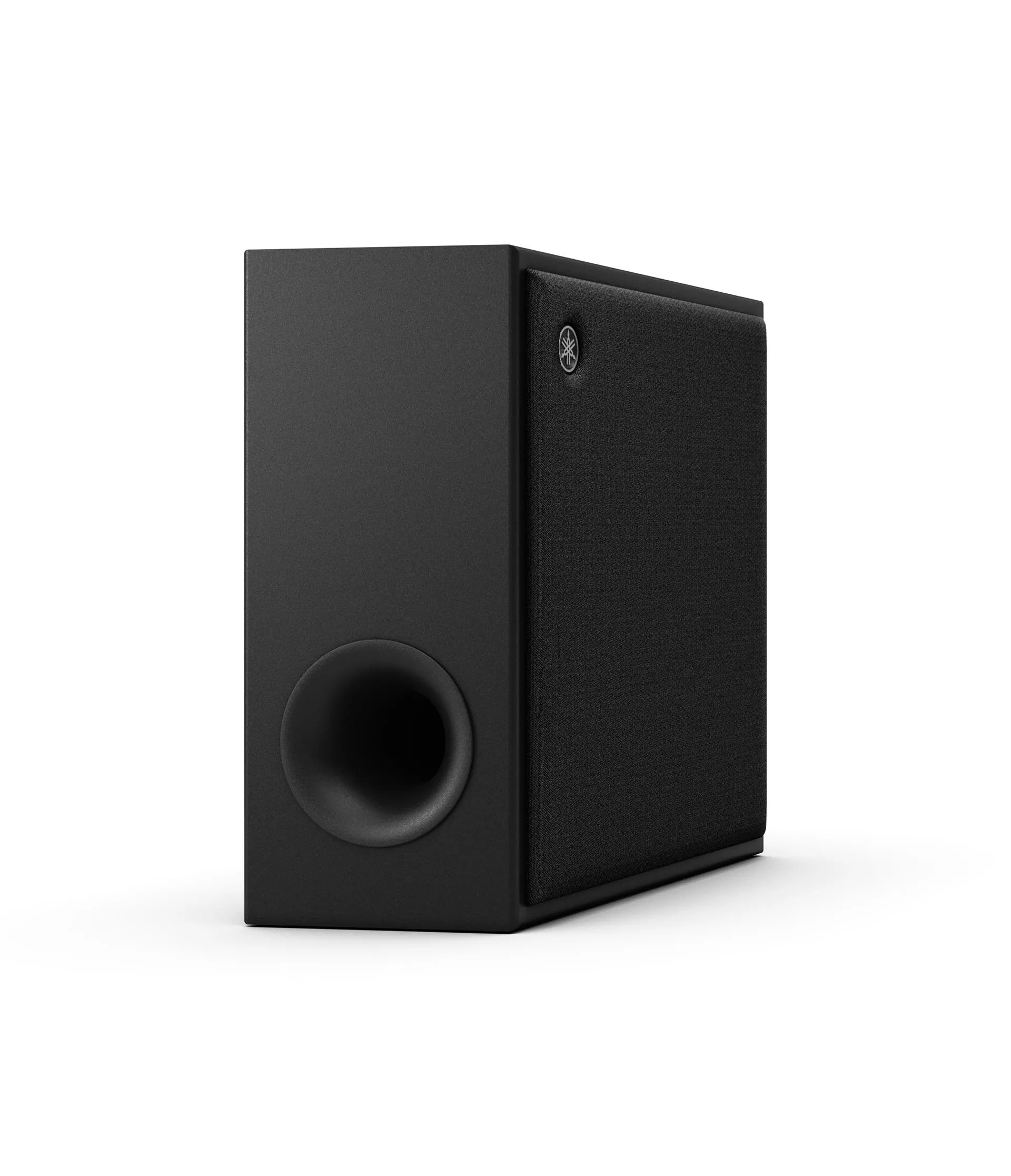 SW-X100A True X Subwoofer