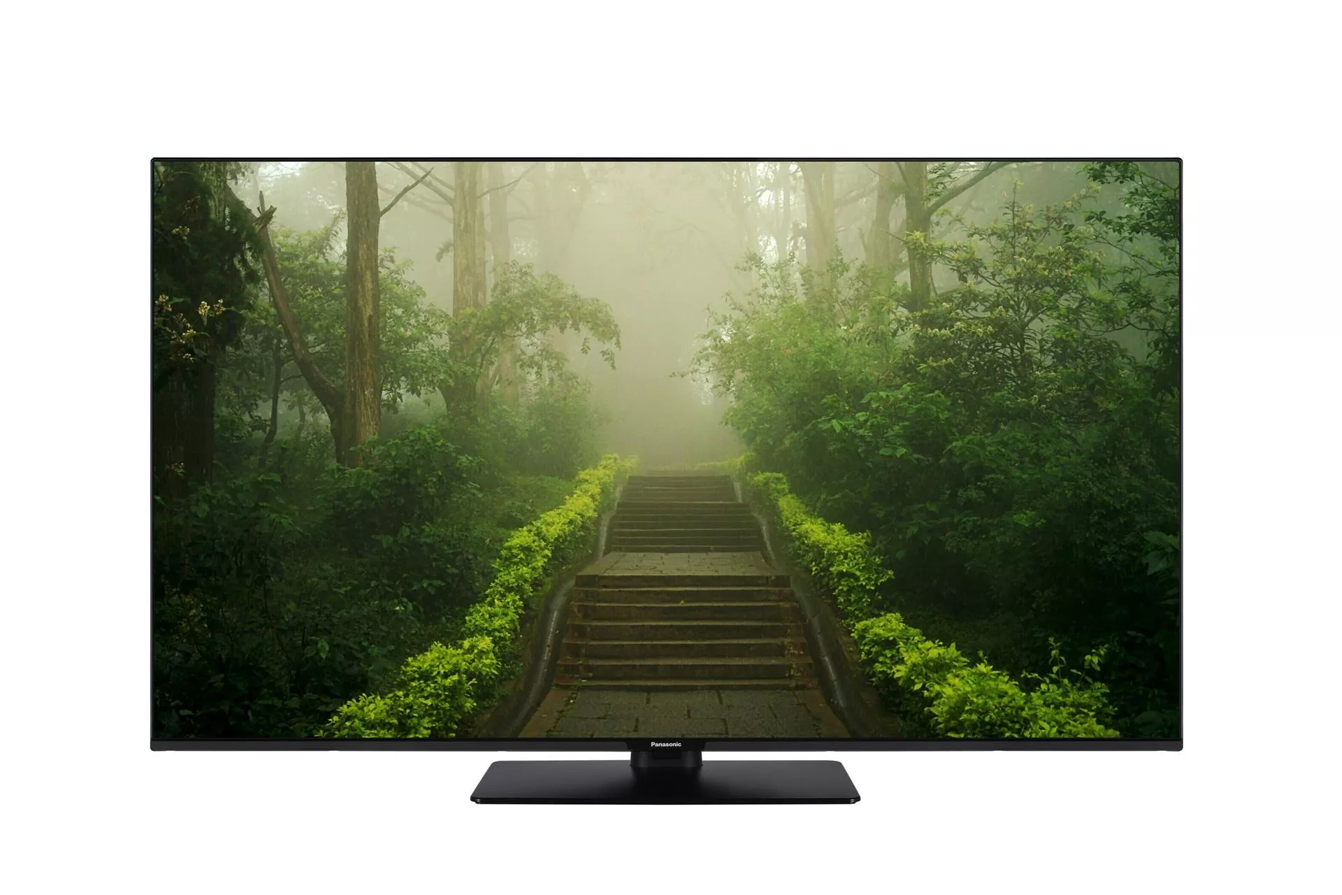 55" W60 4K LED TV