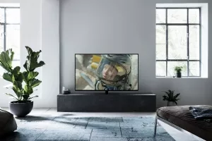 tx-65fz800e